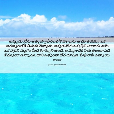 Picture 06 - ప్రకటన గ్రంథం 17:3 TELIRV - అప్పుడు నేను ఆత్మ - Bible Verse Picture