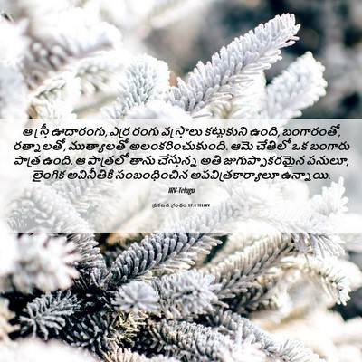 Picture 06 - ప్రకటన గ్రంథం 17:4 TELIRV - ఆ స్త్రీ ఊదారంగు, - Bible Verse Picture