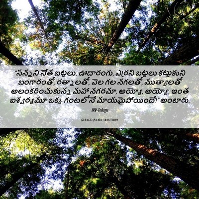 Picture 06 - ప్రకటన గ్రంథం 18:16 TELIRV - “సన్నని నేత - Bible Verse Picture