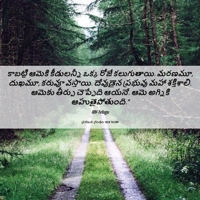 Picture 06 - ప్రకటన గ్రంథం 18:8 TELIRV - కాబట్టి ఆమెకి - Bible Verse Picture