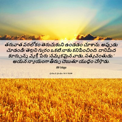 Picture 06 - ప్రకటన గ్రంథం 19:11 TELIRV - తరువాత పరలోకం - Bible Verse Picture