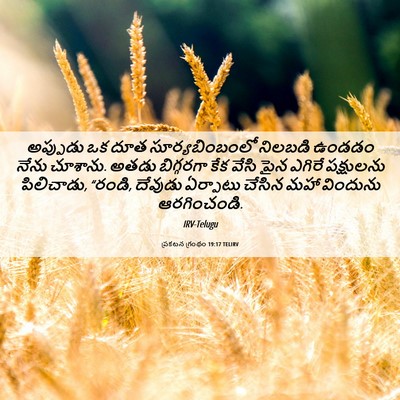 Picture 06 - ప్రకటన గ్రంథం 19:17 TELIRV - అప్పుడు ఒక దూత - Bible Verse Picture