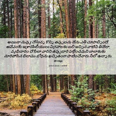 Picture 06 - ప్రకటన గ్రంథం 2:14 TELIRV - అయినా నువ్వు - Bible Verse Picture
