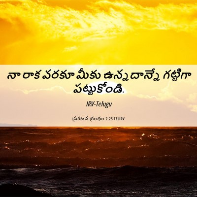 Picture 06 - ప్రకటన గ్రంథం 2:25 TELIRV - నా రాక వరకూ మీకు - Bible Verse Picture