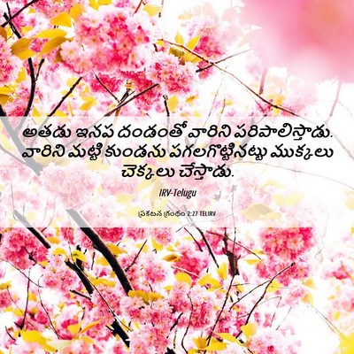 Picture 06 - ప్రకటన గ్రంథం 2:27 TELIRV - అతడు ఇనప దండంతో - Bible Verse Picture