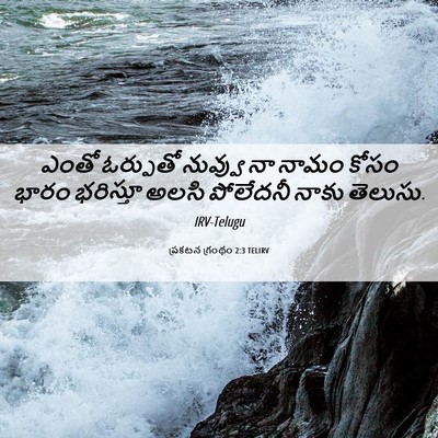 Picture 06 - ప్రకటన గ్రంథం 2:3 TELIRV - ఎంతో ఓర్పుతో - Bible Verse Picture