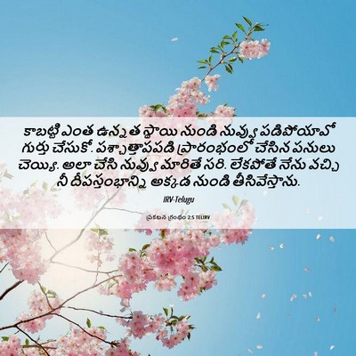 Picture 06 - ప్రకటన గ్రంథం 2:5 TELIRV - కాబట్టి ఎంత ఉన్నత - Bible Verse Picture
