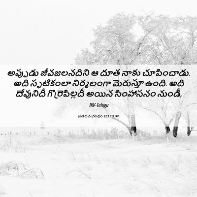 Picture 06 - ప్రకటన గ్రంథం 22:1 TELIRV - అప్పుడు - Bible Verse Picture