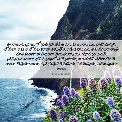Picture 06 - ప్రకటన గ్రంథం 4:8 TELIRV - ఈ నాలుగు - Bible Verse Picture