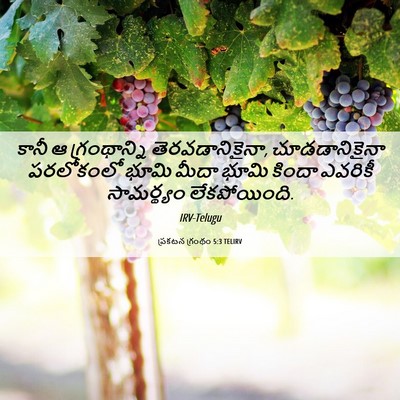 Picture 06 - ప్రకటన గ్రంథం 5:3 TELIRV - కానీ ఆ గ్రంథాన్ని - Bible Verse Picture