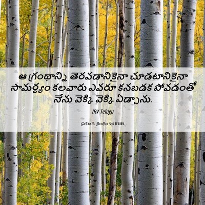 Picture 06 - ప్రకటన గ్రంథం 5:4 TELIRV - ఆ గ్రంథాన్ని - Bible Verse Picture