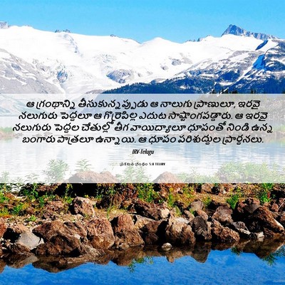 Picture 06 - ప్రకటన గ్రంథం 5:8 TELIRV - ఆ గ్రంథాన్ని - Bible Verse Picture