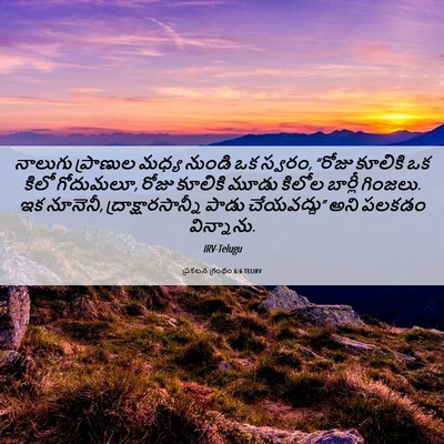 Picture 06 - ప్రకటన గ్రంథం 6:6 TELIRV - నాలుగు ప్రాణుల - Bible Verse Picture