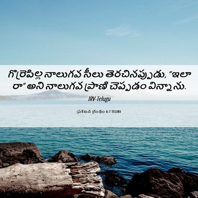 Picture 06 - ప్రకటన గ్రంథం 6:7 TELIRV - గొర్రెపిల్ల - Bible Verse Picture