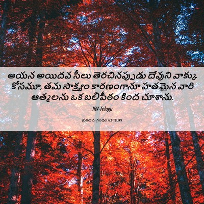 Picture 06 - ప్రకటన గ్రంథం 6:9 TELIRV - ఆయన అయిదవ సీలు - Bible Verse Picture