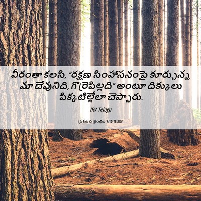Picture 06 - ప్రకటన గ్రంథం 7:10 TELIRV - వీరంతా కలసి, - Bible Verse Picture
