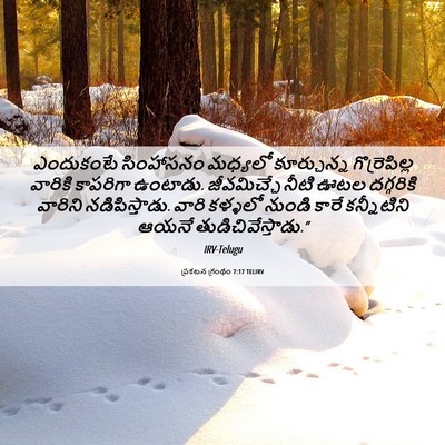 Picture 06 - ప్రకటన గ్రంథం 7:17 TELIRV - ఎందుకంటే సింహాసనం - Bible Verse Picture