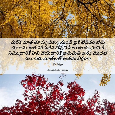Picture 06 - ప్రకటన గ్రంథం 7:2 TELIRV - మరొక దూత తూర్పు - Bible Verse Picture