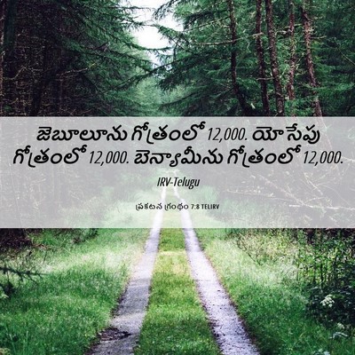 Picture 06 - ప్రకటన గ్రంథం 7:8 TELIRV - జెబూలూను గోత్రంలో - Bible Verse Picture
