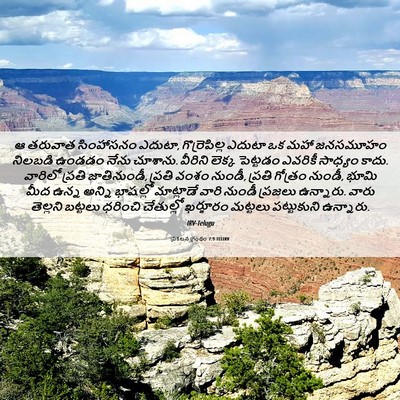 Picture 06 - ప్రకటన గ్రంథం 7:9 TELIRV - ఆ తరువాత సింహాసనం - Bible Verse Picture