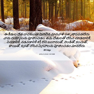 Picture 06 - ప్రకటన గ్రంథం 9:20 TELIRV - ఈ కీడుల చేత - Bible Verse Picture
