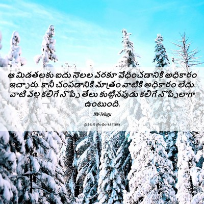 Picture 06 - ప్రకటన గ్రంథం 9:5 TELIRV - ఆ మిడతలకు ఐదు నెలల - Bible Verse Picture