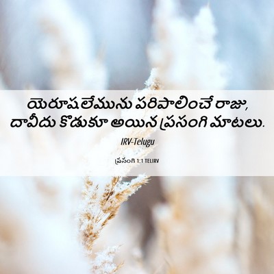 Picture 06 - ప్రసంగి 1:1 TELIRV - యెరూషలేమును - Bible Verse Picture