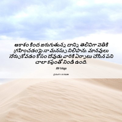 Picture 06 - ప్రసంగి 1:13 TELIRV - ఆకాశం కింద - Bible Verse Picture