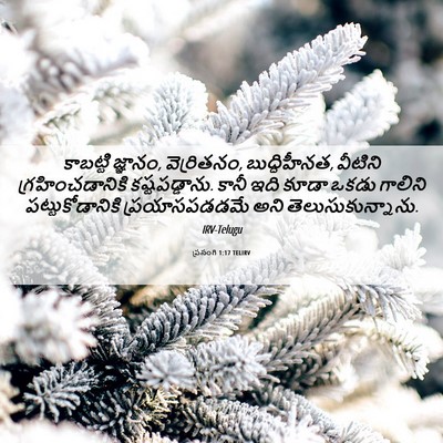 Picture 06 - ప్రసంగి 1:17 TELIRV - కాబట్టి జ్ఞానం, - Bible Verse Picture