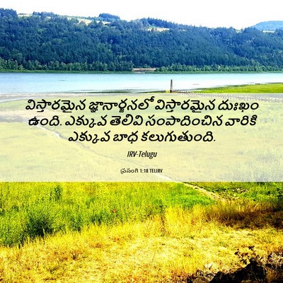Picture 06 - ప్రసంగి 1:18 TELIRV - విస్తారమైన - Bible Verse Picture