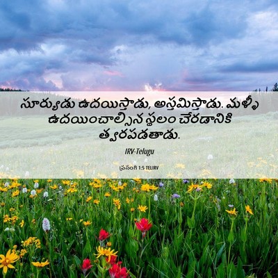 Picture 06 - ప్రసంగి 1:5 TELIRV - సూర్యుడు - Bible Verse Picture