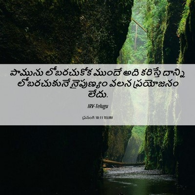 Picture 06 - ప్రసంగి 10:11 TELIRV - పామును లోబరచుకోక - Bible Verse Picture