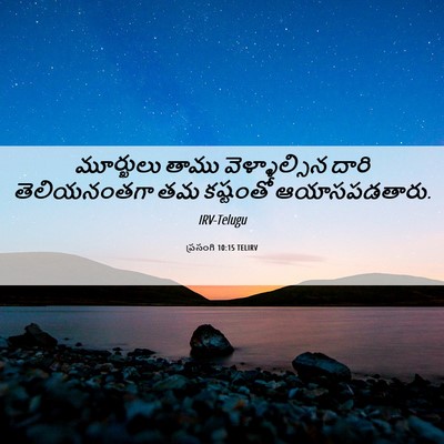 Picture 06 - ప్రసంగి 10:15 TELIRV - మూర్ఖులు తాము - Bible Verse Picture