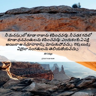 Picture 06 - ప్రసంగి 10:20 TELIRV - నీ మనస్సులో కూడా - Bible Verse Picture