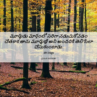 Picture 06 - ప్రసంగి 10:3 TELIRV - మూర్ఖుడు మార్గంలో - Bible Verse Picture