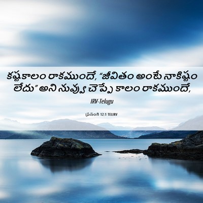 Picture 06 - ప్రసంగి 12:1 TELIRV - కష్టకాలం - Bible Verse Picture