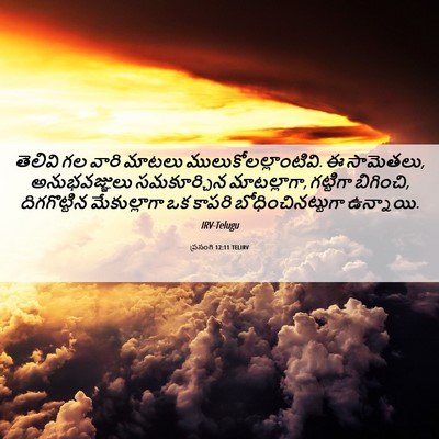 Picture 06 - ప్రసంగి 12:11 TELIRV - తెలివి గల వారి - Bible Verse Picture
