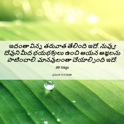 Picture 06 - ప్రసంగి 12:13 TELIRV - ఇదంతా విన్న - Bible Verse Picture