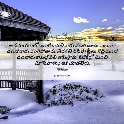 Picture 06 - ప్రసంగి 12:3 TELIRV - ఆ సమయంలో ఇంటి - Bible Verse Picture