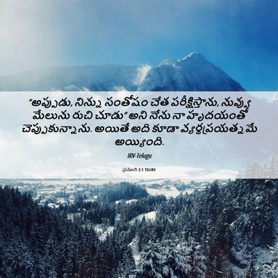 Picture 06 - ప్రసంగి 2:1 TELIRV - “అప్పుడు, నిన్ను - Bible Verse Picture