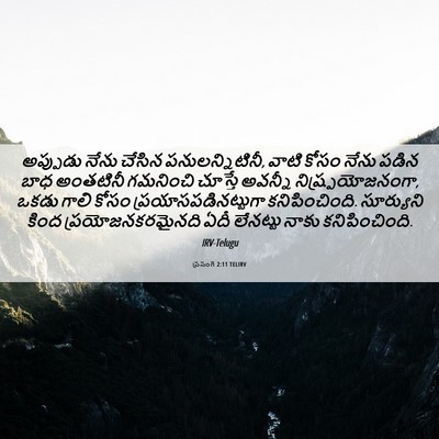 Picture 06 - ప్రసంగి 2:11 TELIRV - అప్పుడు నేను - Bible Verse Picture