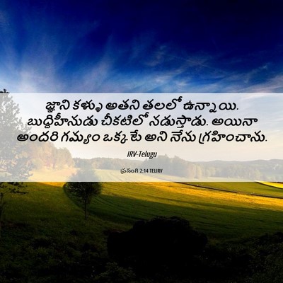 Picture 06 - ప్రసంగి 2:14 TELIRV - జ్ఞాని కళ్ళు అతని - Bible Verse Picture