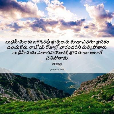 Picture 06 - ప్రసంగి 2:16 TELIRV - బుద్ధిహీనులకు - Bible Verse Picture