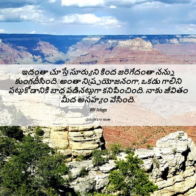 Picture 06 - ప్రసంగి 2:17 TELIRV - ఇదంతా చూస్తే - Bible Verse Picture
