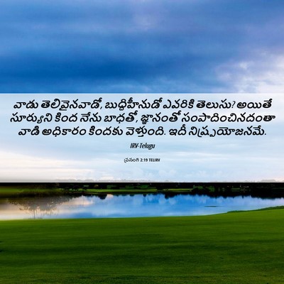 Picture 06 - ప్రసంగి 2:19 TELIRV - వాడు తెలివైనవాడో, - Bible Verse Picture