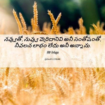 Picture 06 - ప్రసంగి 2:2 TELIRV - నవ్వుతో, నువ్వు - Bible Verse Picture