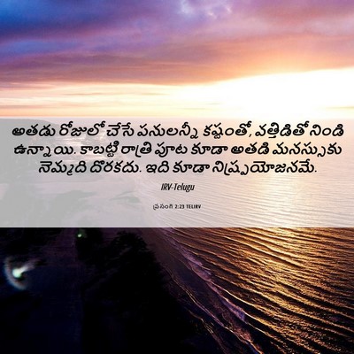 Picture 06 - ప్రసంగి 2:23 TELIRV - అతడు రోజులో చేసే - Bible Verse Picture