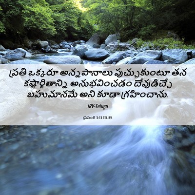 Picture 06 - ప్రసంగి 3:13 TELIRV - ప్రతి ఒక్కరూ - Bible Verse Picture