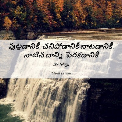 Picture 06 - ప్రసంగి 3:2 TELIRV - పుట్టడానికీ, - Bible Verse Picture