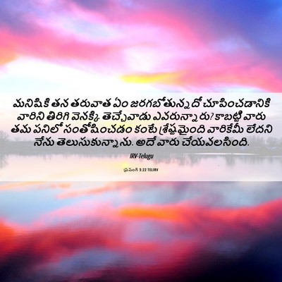 Picture 06 - ప్రసంగి 3:22 TELIRV - మనిషికి తన తరువాత - Bible Verse Picture